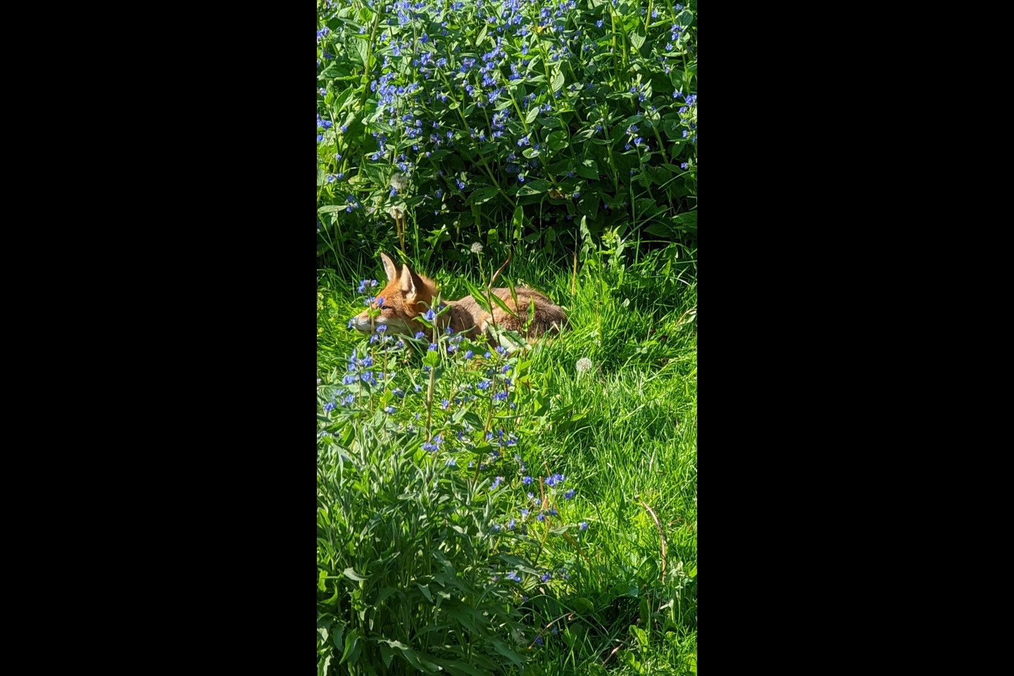 Additional image 11 of 1 Bed Flat, Vernon Terrace, BN1, N1 7GU