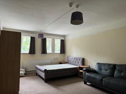 Room in a Shared House, Golden Lion, RG22