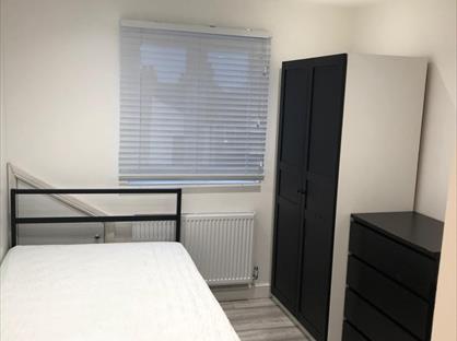 Room in a Shared House, The Avenue, N17