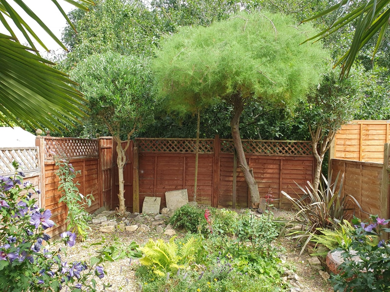 Additional image 7 of Room in a Shared House, Salisbury Road, RG30, N1 7GU