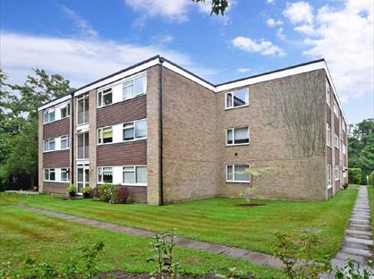 2 Bed Flat, Wray Common Road, RH2