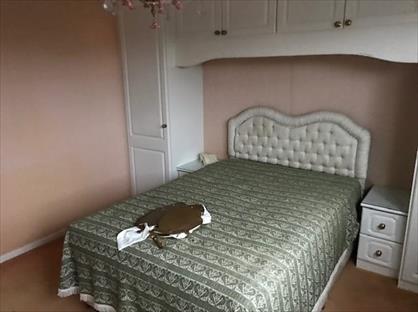 2 Bed Flat, Touchwood Hall Close, B91