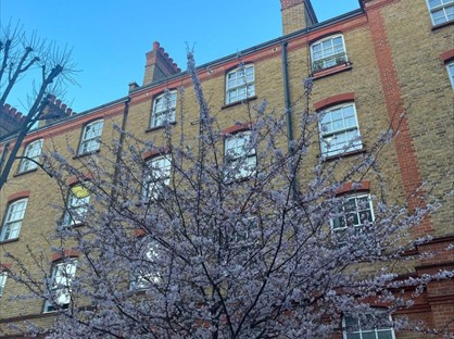 1 Bed Flat, Tonbridge Street, WC1H