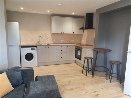 Studio Flat, Albert Road, B79