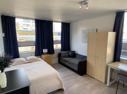 Room in a Shared Flat, Landward Court, W1H