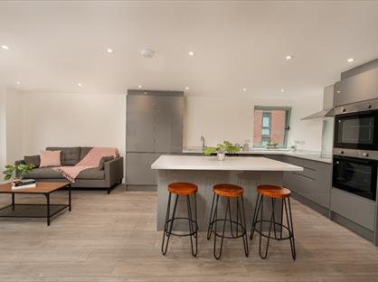 6 Bed Penthouse, Anglo Works, S1