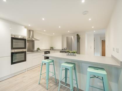 5 Bed Flat, Anglo Works, S1