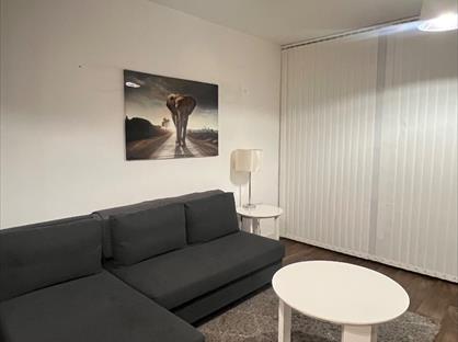 1 Bed Flat, Lexington Gardens, B15