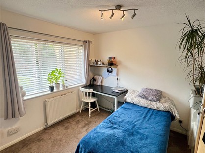 Room in a Shared House, Squirrel Walk, BH31