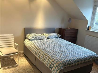 Room in a Shared House, Albert Road, E10