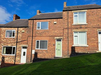 3 Bed Terraced House, Tulip Street, NE42