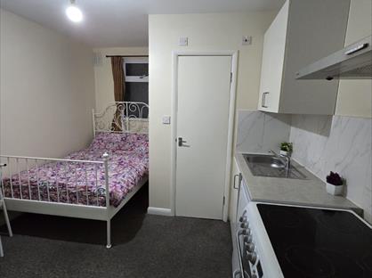 Studio Flat, Grenoble Gardens, N13