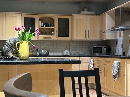 Room in a Shared House, Burdon Lane, SM2