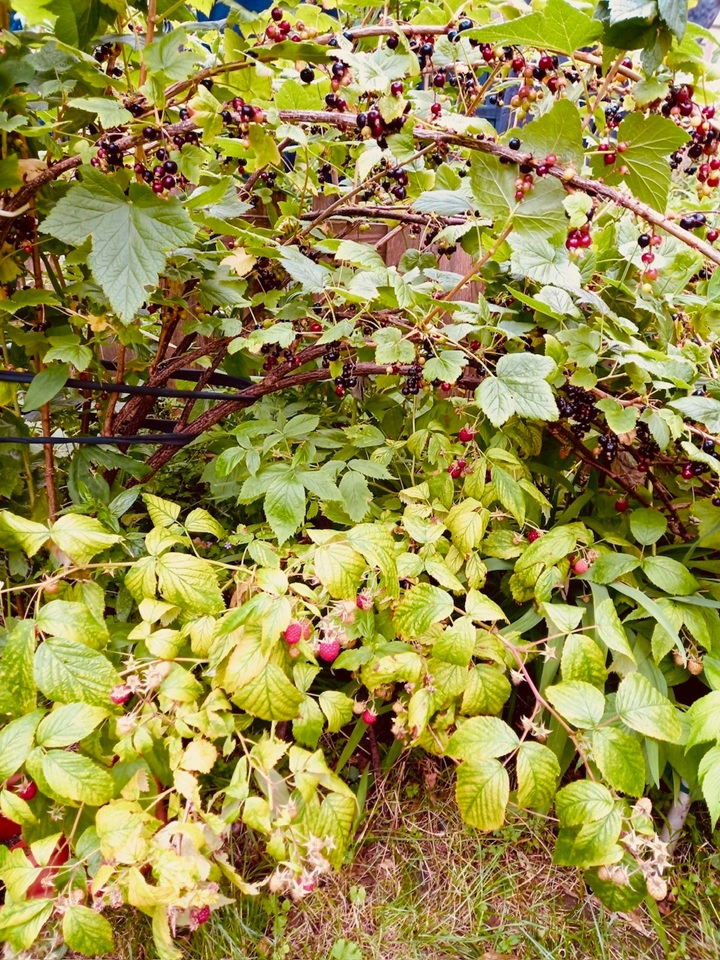 Additional image 12 of 2 Bed Maisonette, Cobden Terrace, EH11, N1 7GU