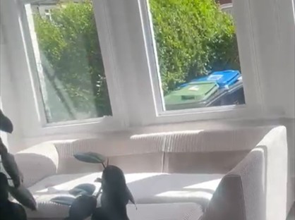 3 Bed Semi-Detached House, Langdale Road, CR7