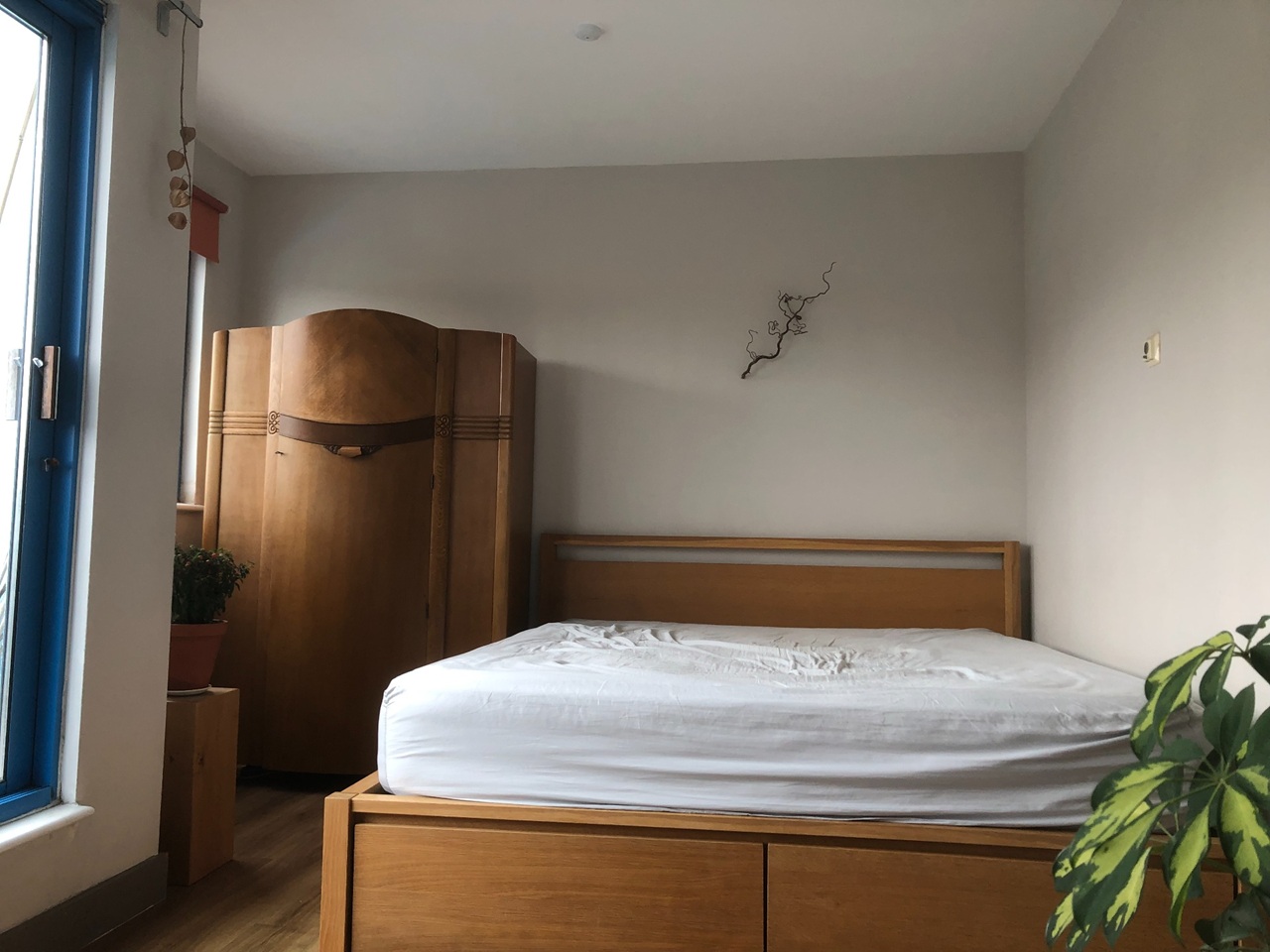 Room in a Shared Flat, Salisbury Road, BN3, N1 7GU