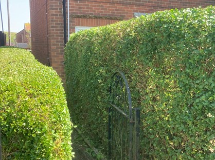 2 Bed Semi-Detached House, George Street, DH5