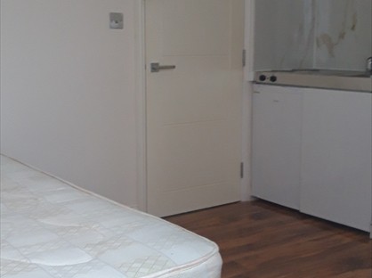 Studio Flat, Harold Road, SE19