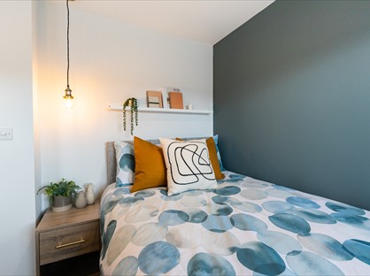 Room in a Shared House, Albert Road, TF1