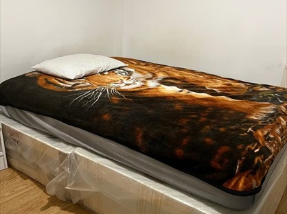 Room in a Shared House, House, N9