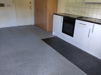 Studio Flat, Limerick House, GU22