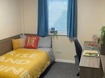 Room in a Shared Flat, Dinwiddy House, N1