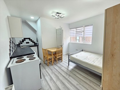 Studio Flat, Seven Sisters Road, N4