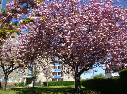 3 Bed Flat, Ambleside, NW1