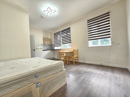 Studio Flat, West Green Road, N15
