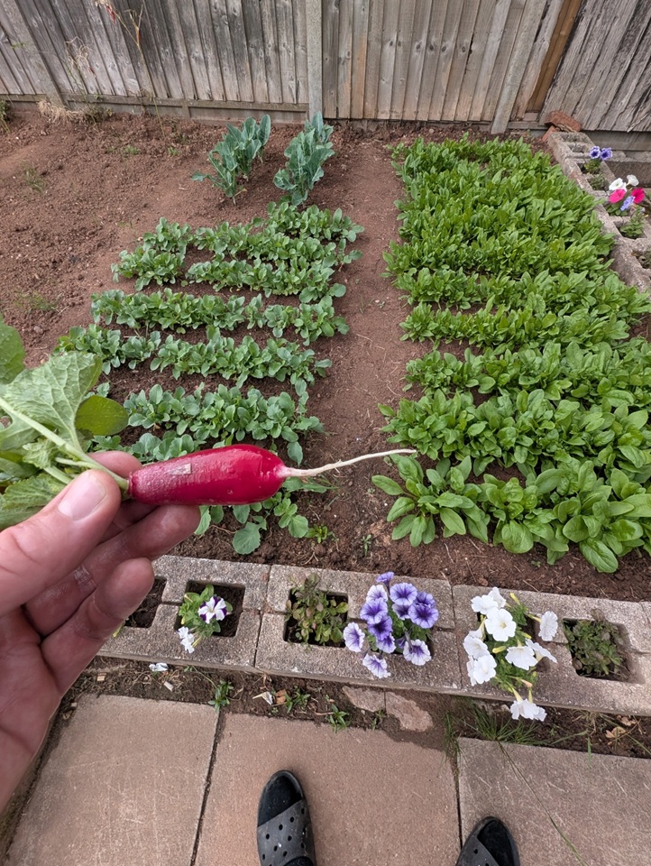 Additional image 7 of Room in a Shared House, Cornwall Road, NG5, N1 7GU