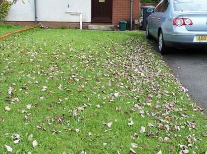 1 Bed Semi-Detached House, Highland Gardens, SA10