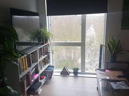 Room in a Shared Flat, London Road, SW16
