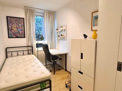 Room in a Shared Flat, Whitethorn Street, E3