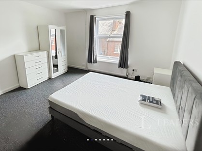 Room in a Shared Flat, Wellington Street, LU1