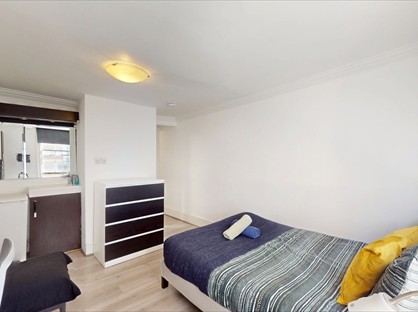 Room in a Shared Flat, Ensuite Double Room, WC2N