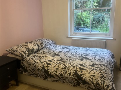 Room in a Shared Flat, Alexandra Drive, SE19