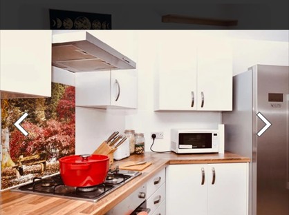 Room in a Shared Flat, The Artful Dodger House, EX4