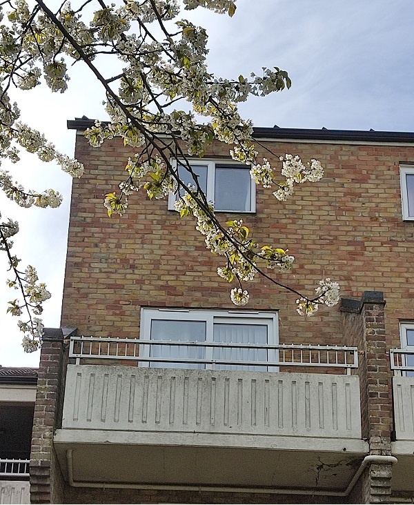 3 Bed Flat, Sackville Close, CB4 photo 2