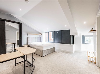 Room in a Shared Flat, Sentinel House, NR1