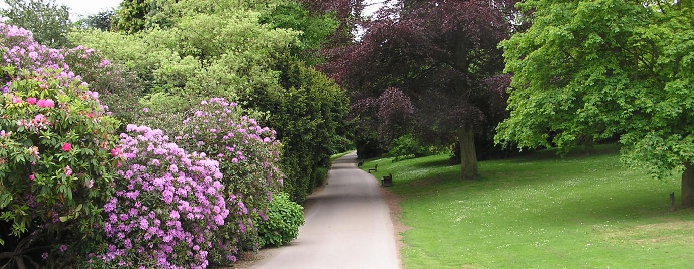 Additional image 17 of Studio Flat, Duffield Road, DE1, N1 7GU