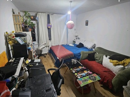 Room in a Shared House, Bruce Road, E3