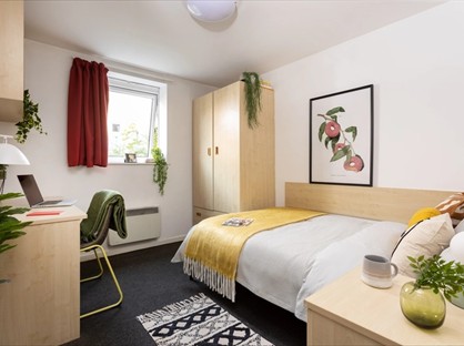 Room in a Shared Flat, Reception, L3