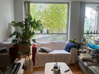 Room in a Shared Flat, The Marlborough, NG3