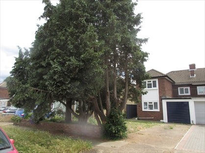 3 Bed Semi-Detached House, Beresford Gardens, TW4