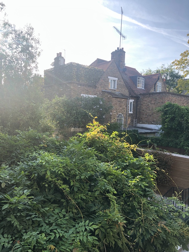 London - 2 Bed Flat, Edith Grove, SW10 - To Rent Now for £3,200.00 p/m