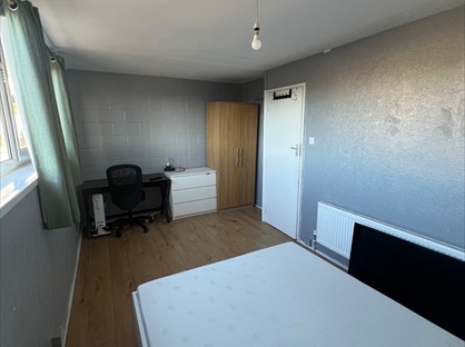 Room in a Shared Flat, Payne Street, SE8