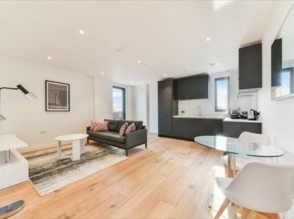 1 Bed Flat, Luxe Tower, E1