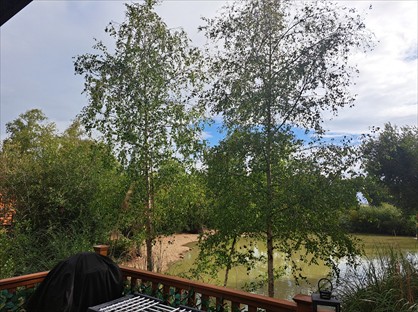 2 Bed Mobile Home, South, PO33