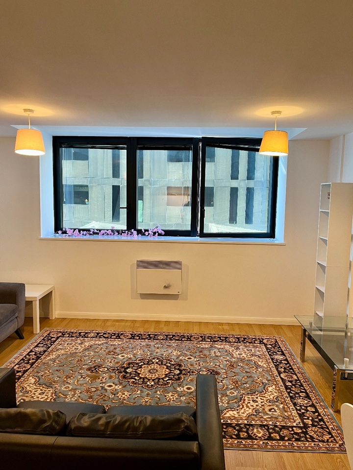 Additional image 6 of 1 Bed Flat, Mann Island, L3, N1 7GU