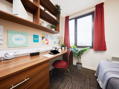 Room in a Shared Flat, Bagot Street, B4